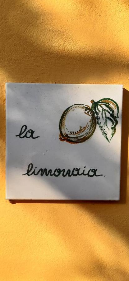 피렌체 La Limonaia 빌라 외부 사진